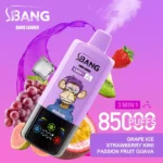 BANG LEADER 85K Wholesale | 85000 Puffs Disposable Vape Supplier