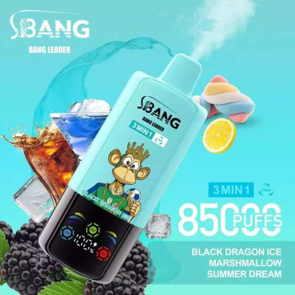 BANG LEADER 85K Wholesale | 85000 Puffs Disposable Vape Supplier
