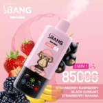 BANG LEADER 85K Wholesale | 85000 Puffs Disposable Vape Supplier