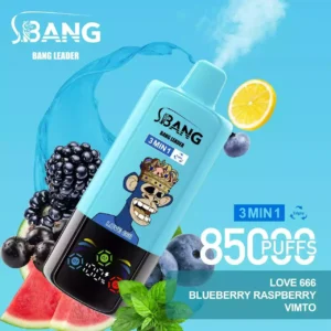 BANG LEADER 85K Puffs Disposable Vape Wholesale
