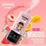 BANG LEADER 85K Wholesale | 85000 Puffs Disposable Vape Supplier