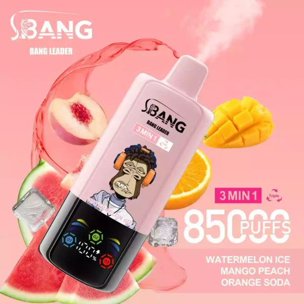 BANG LEADER 85K Wholesale | 85000 Puffs Disposable Vape Supplier