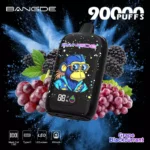 Bang DE 90K Wholesale | 90000 Puffs Disposable Vape Supplier
