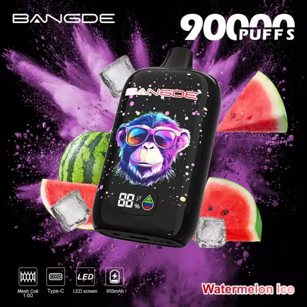 Bang DE 90K Wholesale | 90000 Puffs Disposable Vape Supplier
