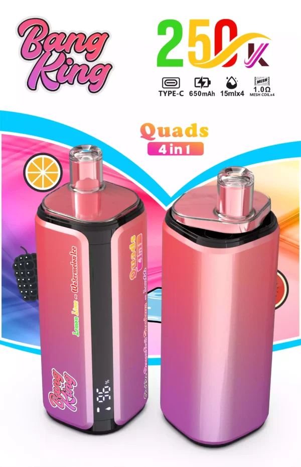 Bang King 250K Wholesale | 250000 Puffs Disposable Vape Supplier