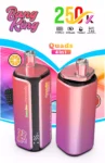 Bang King 250K Wholesale | 250000 Puffs Disposable Vape Supplier