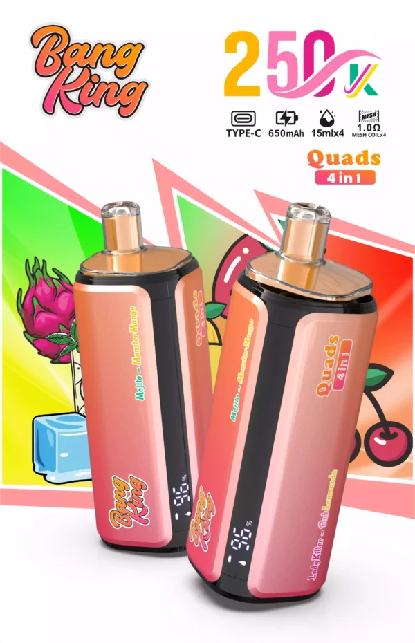Bang King 250K Wholesale | 250000 Puffs Disposable Vape Supplier