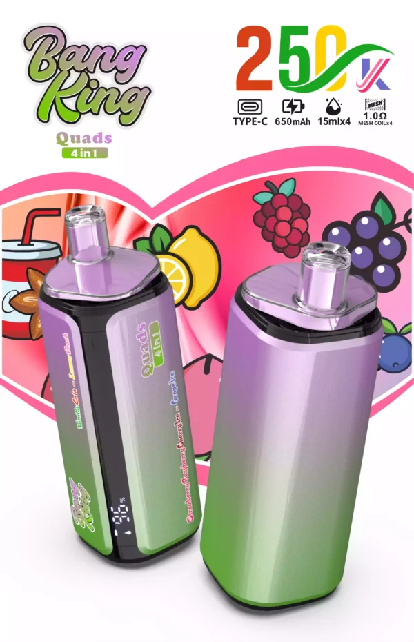 Bang King 250K Wholesale | 250000 Puffs Disposable Vape Supplier