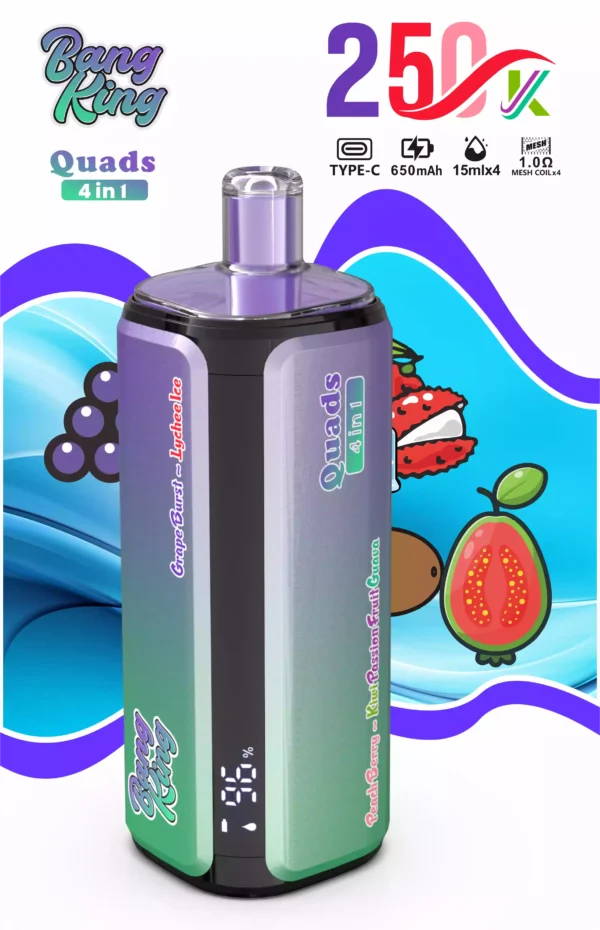 Bang King 250K Wholesale | 250000 Puffs Disposable Vape Supplier