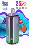 Bang King 250K Wholesale | 250000 Puffs Disposable Vape Supplier