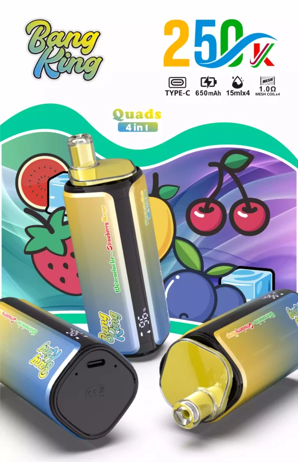 Bang King 250K Wholesale | 250000 Puffs Disposable Vape Supplier