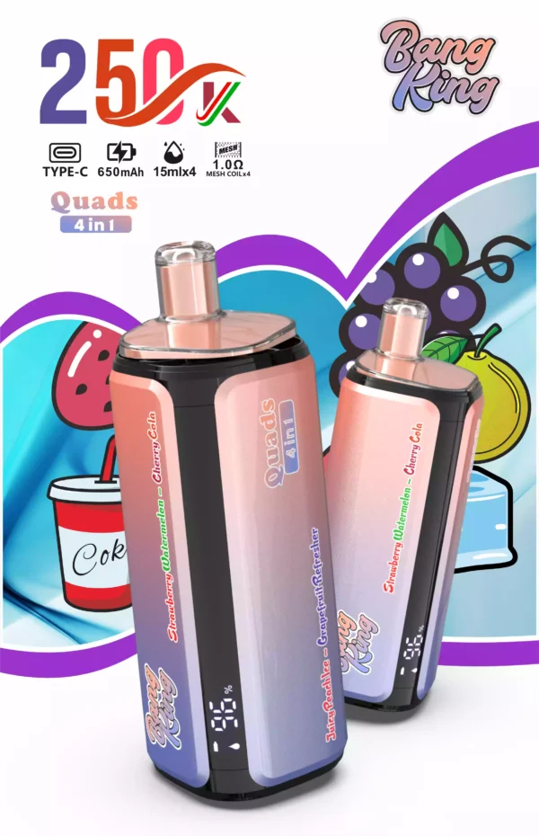 Bang King 250K Wholesale | 250000 Puffs Disposable Vape Supplier
