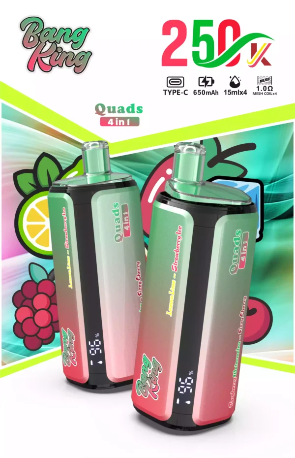 Bang King 250K Wholesale | 250000 Puffs Disposable Vape Supplier