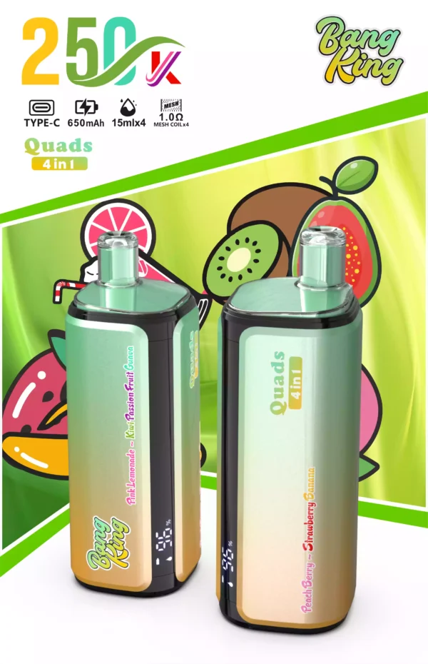 Bang King 250K Wholesale | 250000 Puffs Disposable Vape Supplier