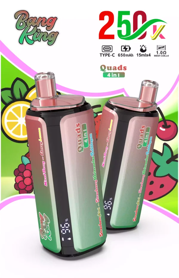 Bang King 250K Wholesale | 250000 Puffs Disposable Vape Supplier