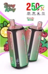 Bang King 250K Wholesale | 250000 Puffs Disposable Vape Supplier