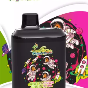 Bang King VAPORSEA 20000 Puffs Wholesale Disposable Vape Supplier