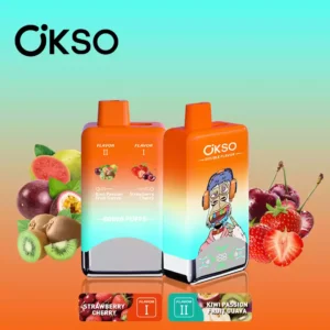 OKSO Double Flavor 60000 Puffs Disposable Vape Wholesale