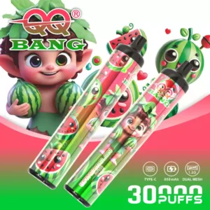 QQ BANG 30K Wholesale | 30000 Puffs Disposable Vape Supplier