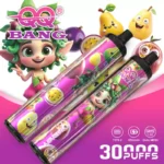 QQ BANG 30K Wholesale | 30000 Puffs Disposable Vape Supplier