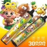 QQ BANG 30K Wholesale | 30000 Puffs Disposable Vape Supplier