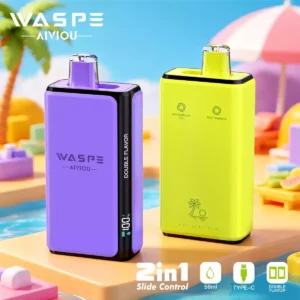 WASPE Double Flavor 100K Pro Puffs Disposable Vape Wholesale