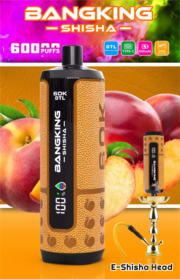 Bangking Shisha 60K Wholesale | 60000 Puffs DTL Disposable Vape Supplier