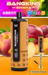 Bangking Shisha 60K Wholesale | 60000 Puffs DTL Disposable Vape Supplier