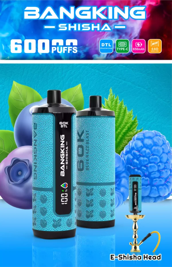 Bangking Shisha 60K Wholesale | 60000 Puffs DTL Disposable Vape Supplier