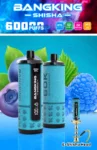 Bangking Shisha 60K Wholesale | 60000 Puffs DTL Disposable Vape Supplier