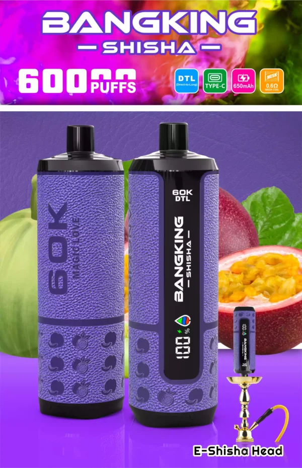 Bangking Shisha 60K Wholesale | 60000 Puffs DTL Disposable Vape Supplier