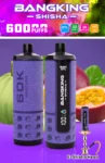 Bangking Shisha 60K Wholesale | 60000 Puffs DTL Disposable Vape Supplier