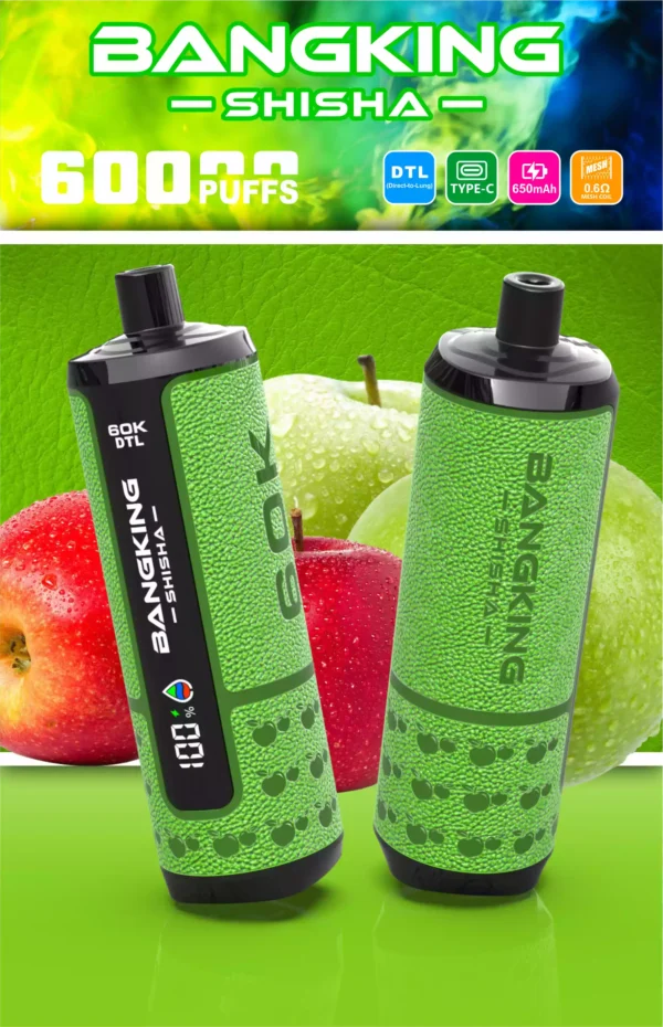 Bangking Shisha 60K Wholesale | 60000 Puffs DTL Disposable Vape Supplier