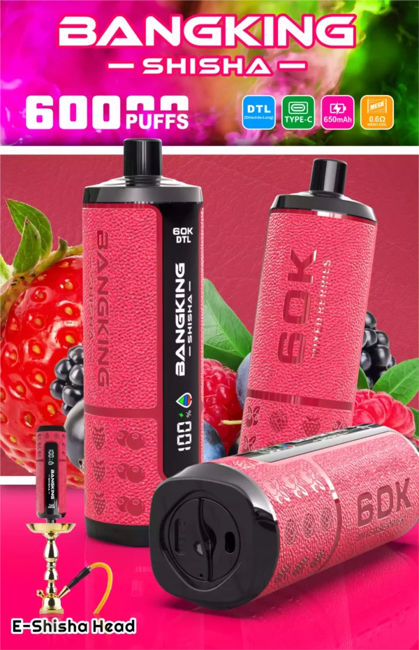 Bangking Shisha 60K Wholesale | 60000 Puffs DTL Disposable Vape Supplier