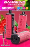 Bangking Shisha 60K Wholesale | 60000 Puffs DTL Disposable Vape Supplier