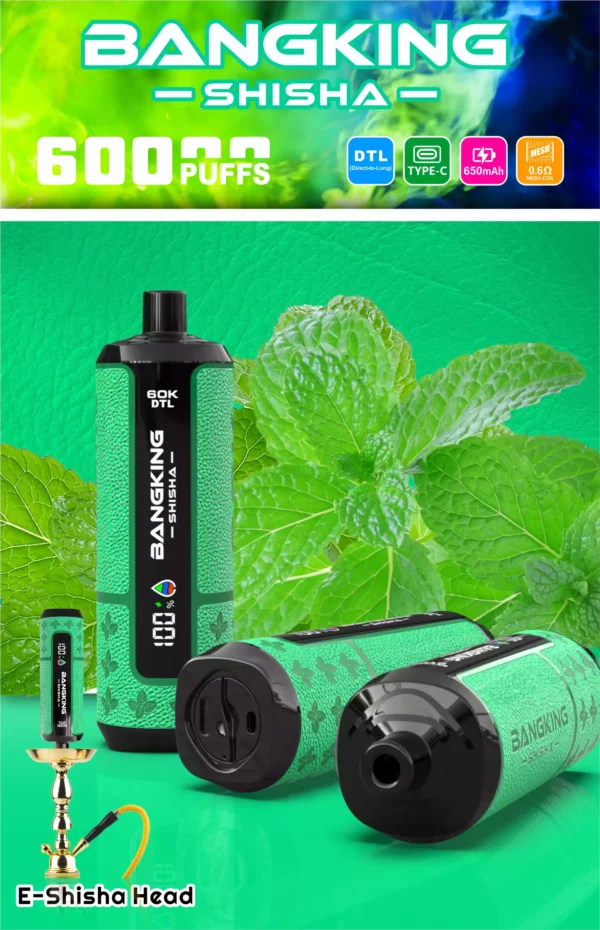Bangking Shisha 60K Wholesale | 60000 Puffs DTL Disposable Vape Supplier