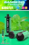 Bangking Shisha 60K Wholesale | 60000 Puffs DTL Disposable Vape Supplier