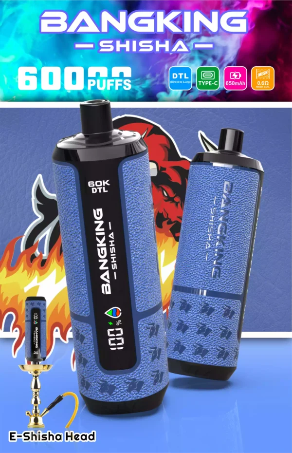 Bangking Shisha 60K Wholesale | 60000 Puffs DTL Disposable Vape Supplier