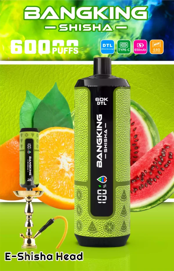 Bangking Shisha 60K Wholesale | 60000 Puffs DTL Disposable Vape Supplier