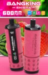 Bangking Shisha 60K Wholesale | 60000 Puffs DTL Disposable Vape Supplier